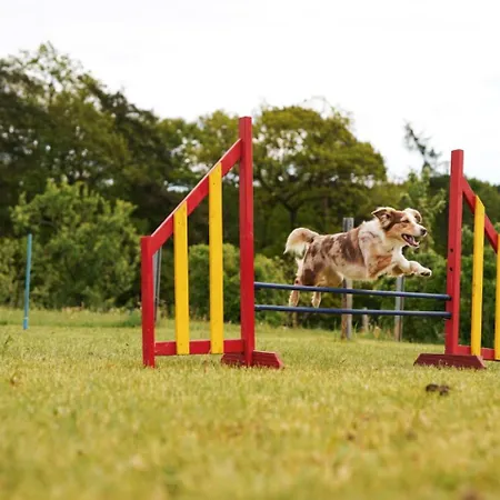 Hof Koehne - Altes - Huhn Apartment Schmallenberg