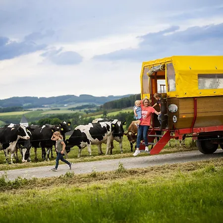 Hof Koehne - Altes - Huhn *