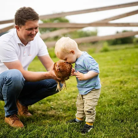 Hof Koehne - Altes - Huhn Appartement