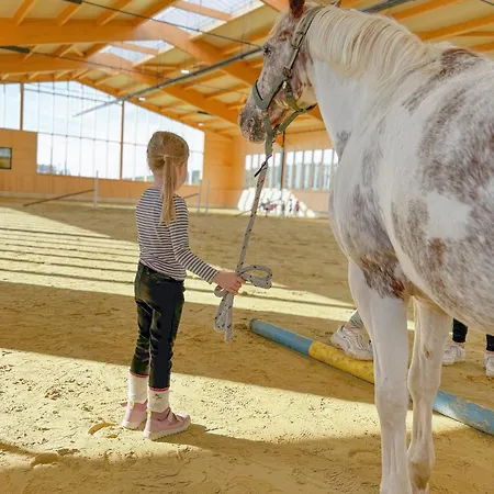Hof Koehne - Altes - Huhn
