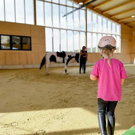 Appartement Hof Koehne - Altes - Huhn Schmallenberg