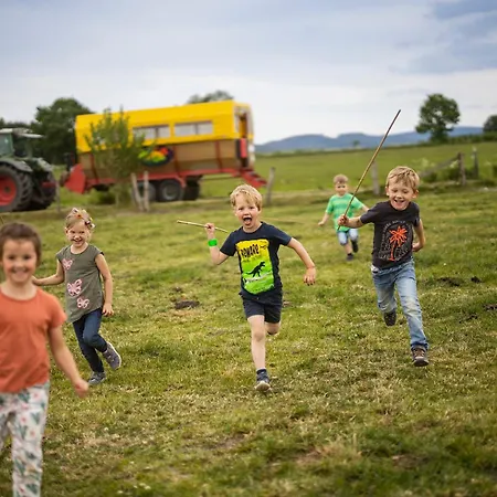Hof Koehne - Altes - Huhn Schmallenberg