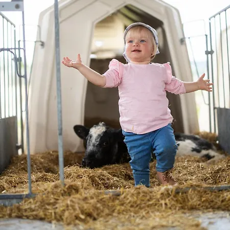 Hof Koehne - Altes - Huhn *