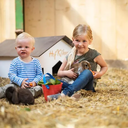 Hof Koehne - Altes - Huhn Appartement