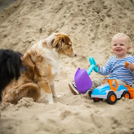 Hof Koehne - Altes - Huhn Schmallenberg