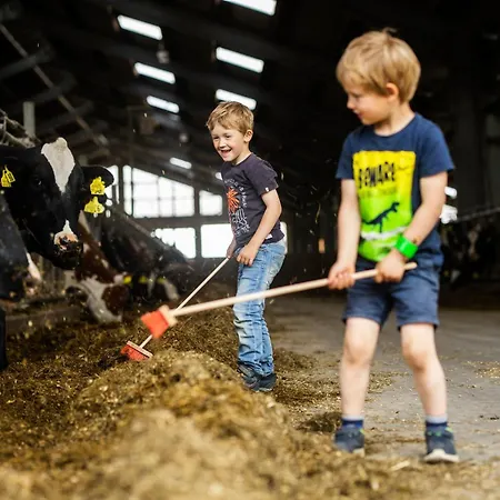 Hof Koehne - Altes - Huhn * Schmallenberg