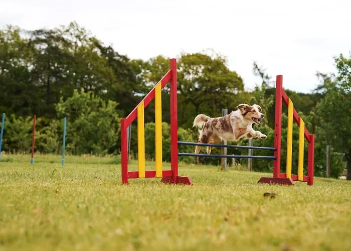 Hof Koehne - Altes - Huhn Apartamento Schmallenberg