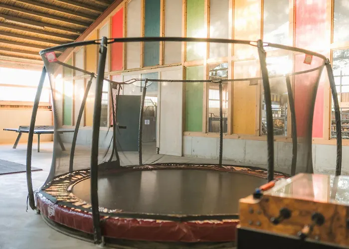 Hof Koehne - Altes - Huhn