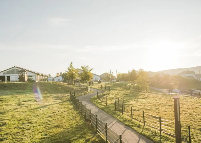 Hof Koehne - Altes - Huhn Apartamento