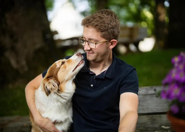 Apartment Hof Koehne - Altes - Huhn Schmallenberg