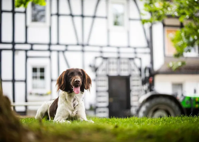 Apartment Hof Koehne - Altes - Huhn *