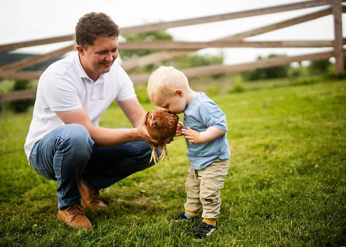 Hof Koehne - Altes - Huhn Apartamento