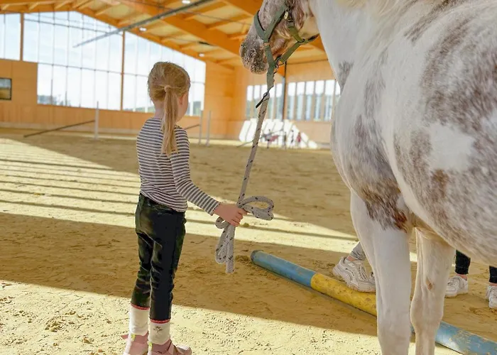 Hof Koehne - Altes - Huhn