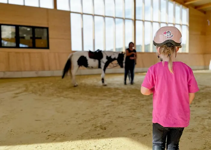 Apartamento Hof Koehne - Altes - Huhn Schmallenberg